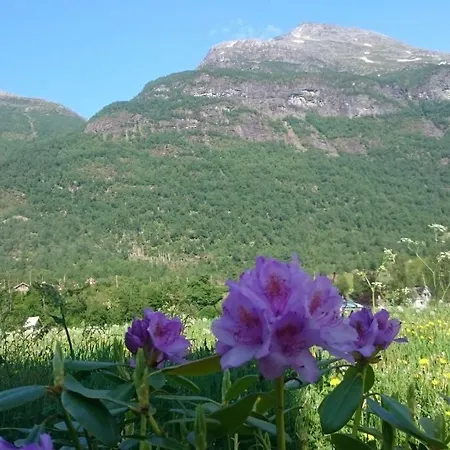 Tatil Evi Naustvoll